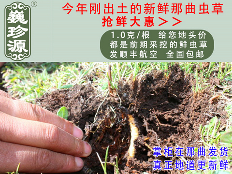 ���r���x�Ĳ����^�����r�x����Ρ��Դ1��/�����r�������x�Ĳ��^���������ڳ����������^�����r�x��