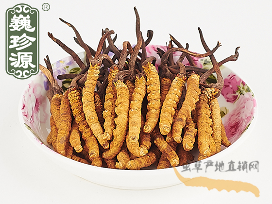 那曲冬蟲夏草2.2條/克 中期草 精選貨