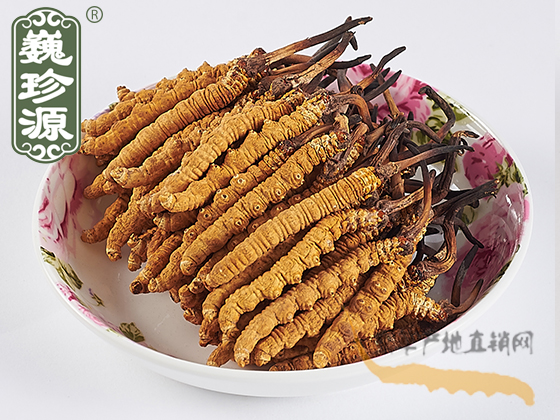 �������x�Ĳ��^��,Ʒ�|����s���x��,��(y��u)������s�ඬ�x�Ĳݵ������x���^��