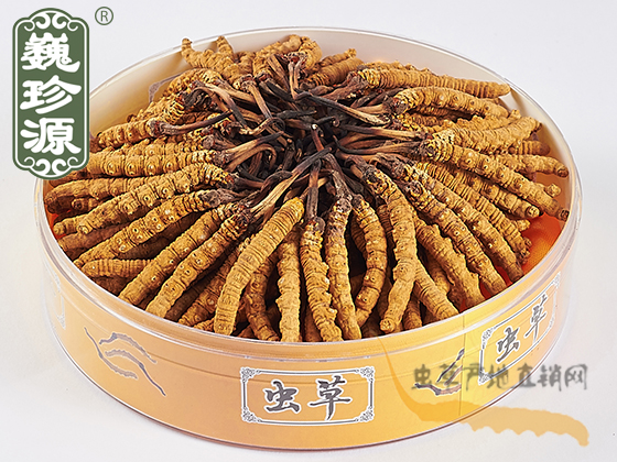 ���x(ch��ng)�Ĳ��^�ڲ�,�x(ch��ng)���^�������x(ch��ng)�Ĳ��^���������x(ch��ng)���^�ڲ���Ρ��Դ�����x(ch��ng)���^��3�l/��