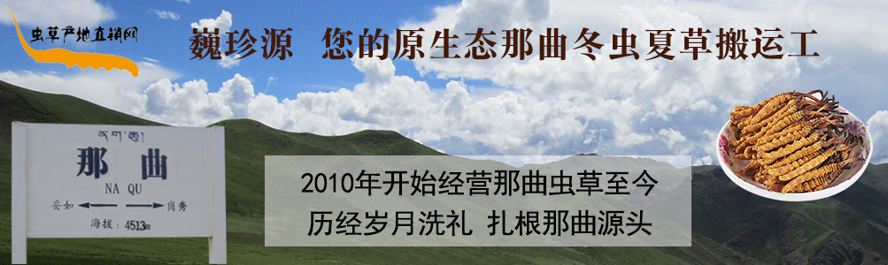 ���x(ch��ng)�Ĳ�,��B���������x(ch��ng)�������r�x(ch��ng)�ݺ��������r���x(ch��ng)�Ĳ�,���l(f��)�����x(ch��ng)�Ĳ݃r(ji��)��